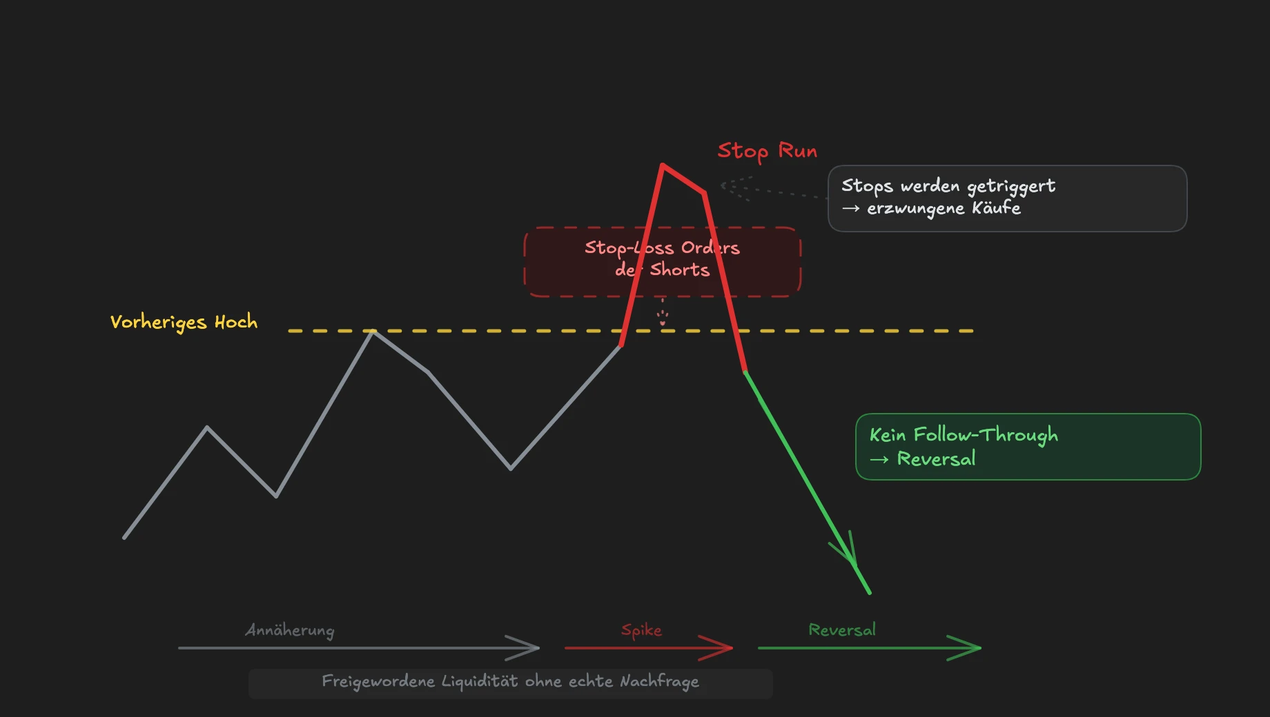 Ein Stop Run über ein vorheriges Hoch triggert Stops, erzeugt freigewordene Liquidität ohne Follow-Through und führt zum Reversal
